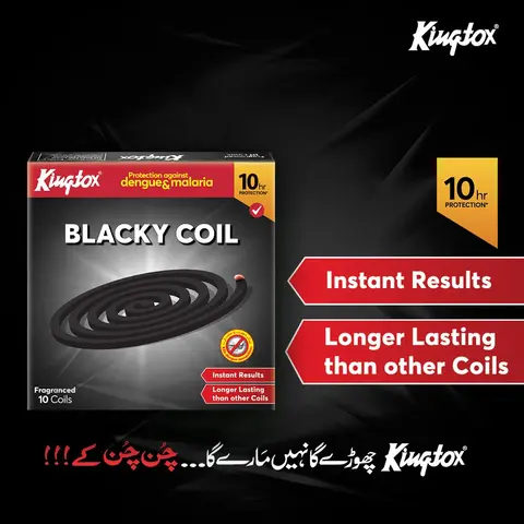 Kingtox Black Coil 10 Pieces