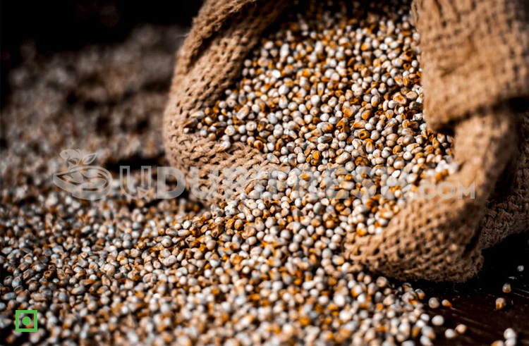 BAJRA 1 KG