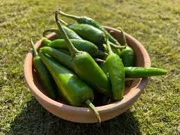 Green Chilli Desi 250g
