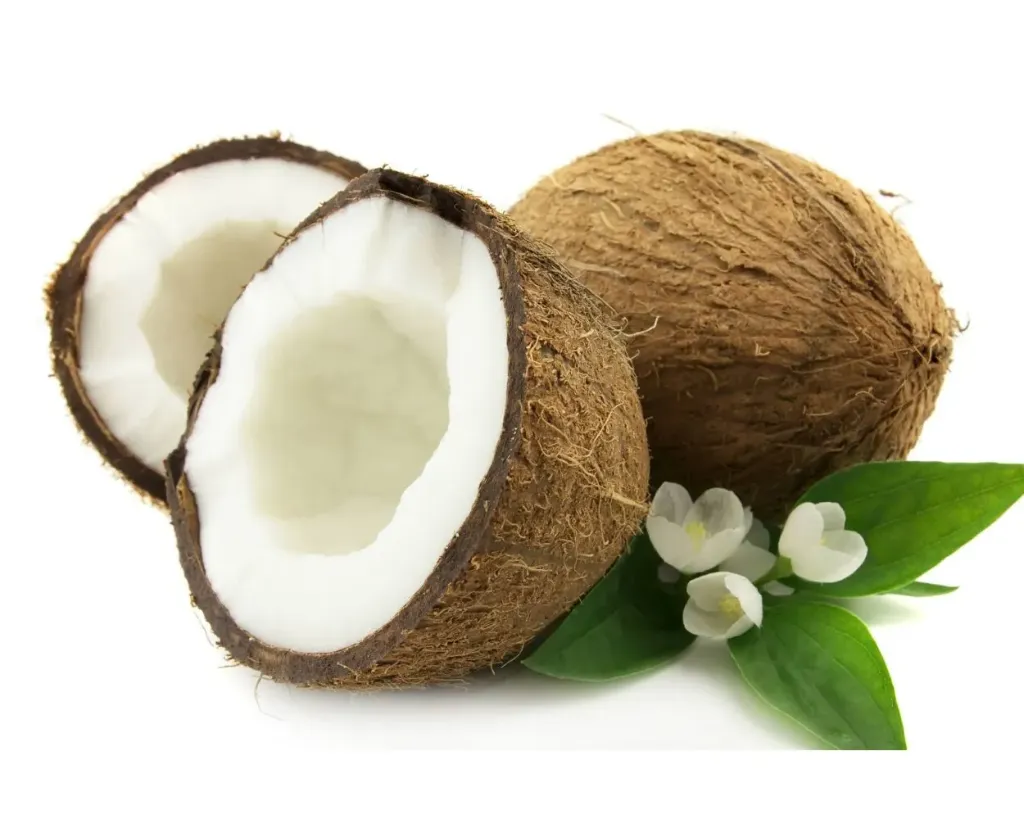 Coconut 1 Piece