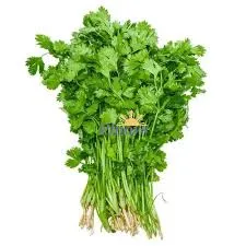 Coriander Leaves 100 g