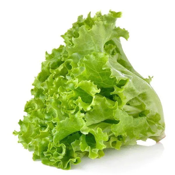 Salad Leaves (Salad Patta) Bunch 1 Piece (Salad Patta) Bunch 1 Piece