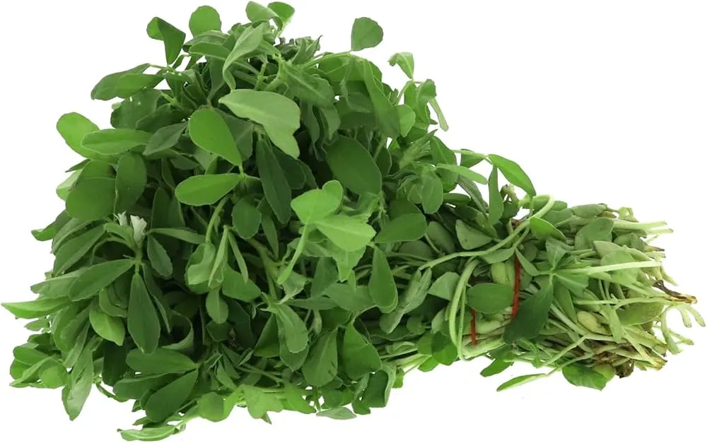 Fresh Methi Fenugreek Leaves Bunch 1 Piece