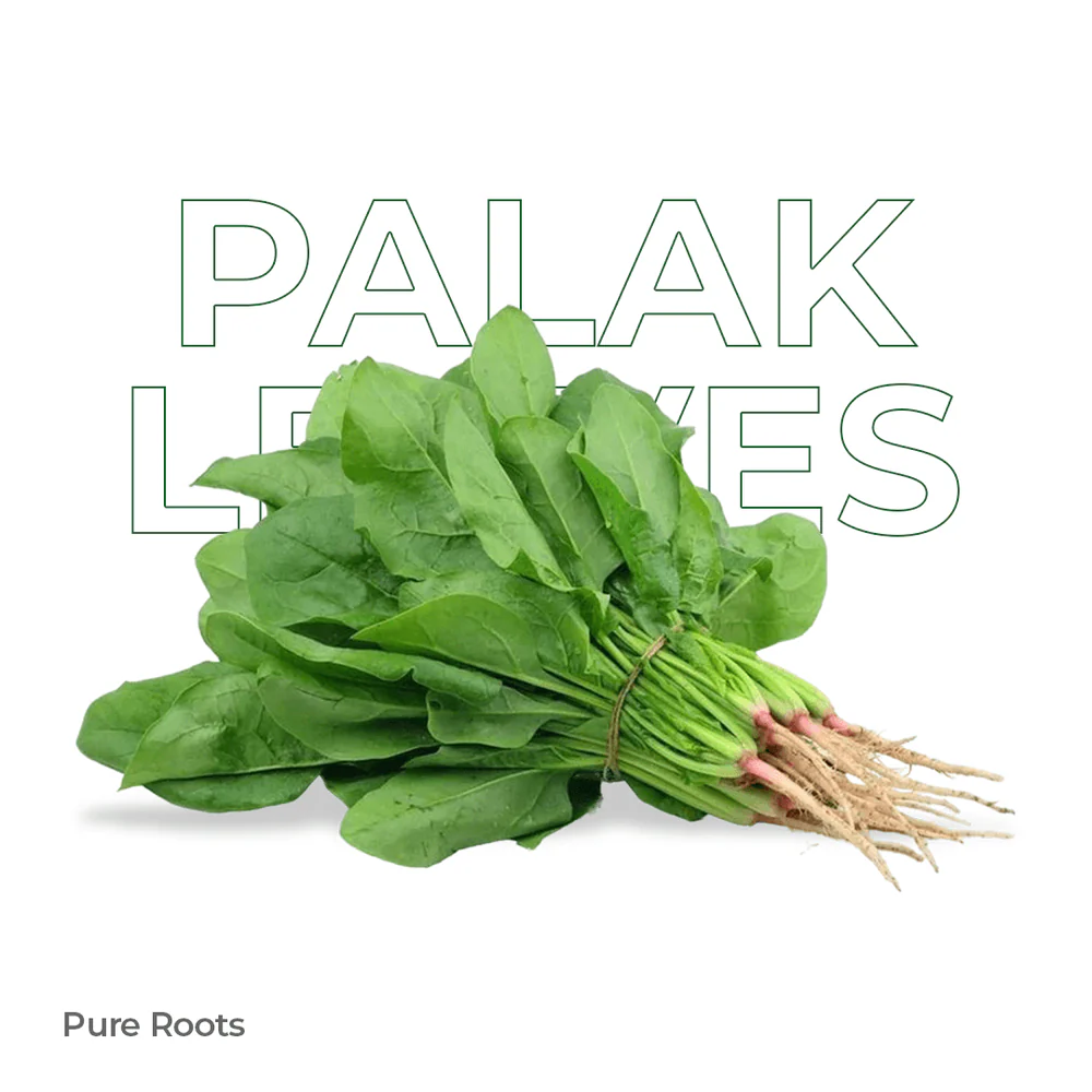 Palak Leaves 100g