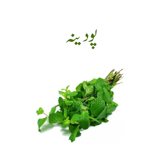 Podena 1 Branch