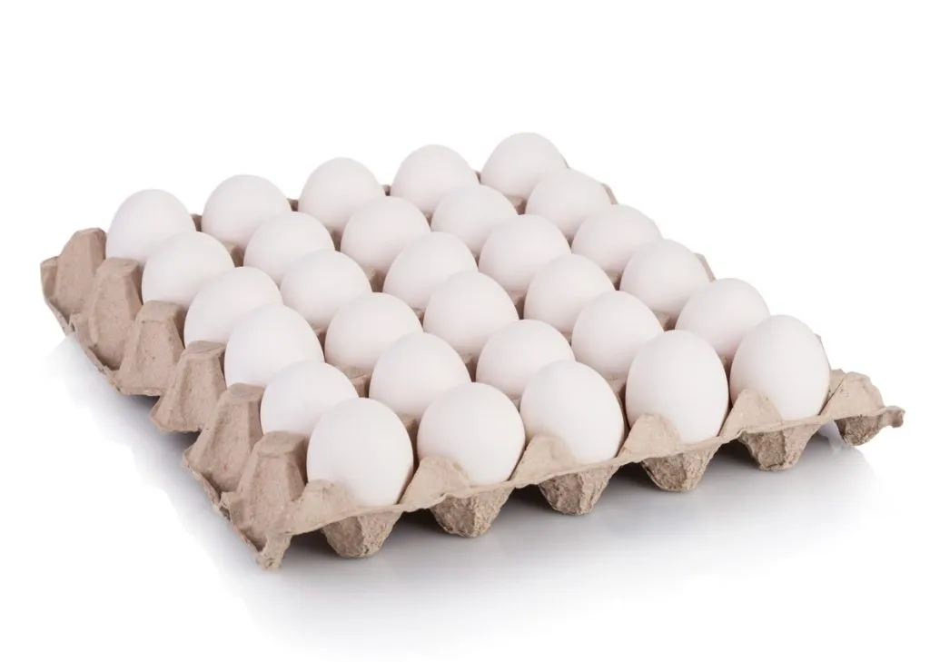 EGG CRATE