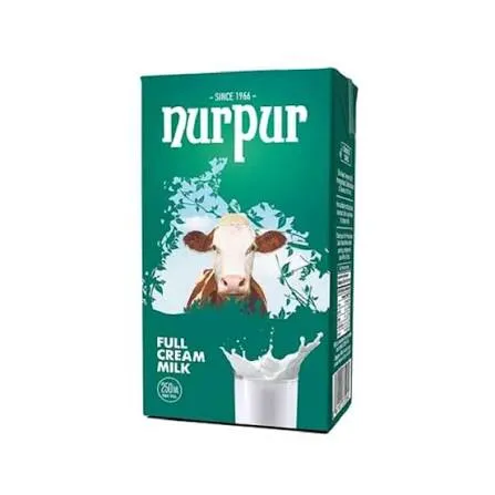 NURPUR MILK 250ML